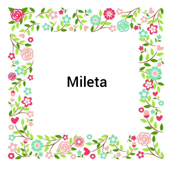 Mileta